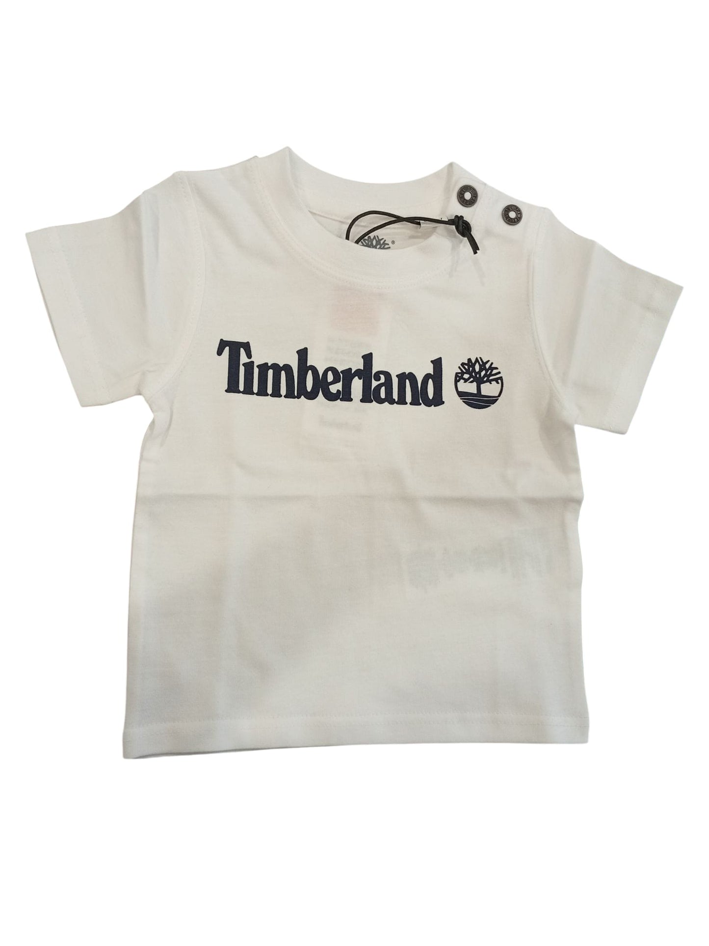 T-SHIRT TIMBERLAND