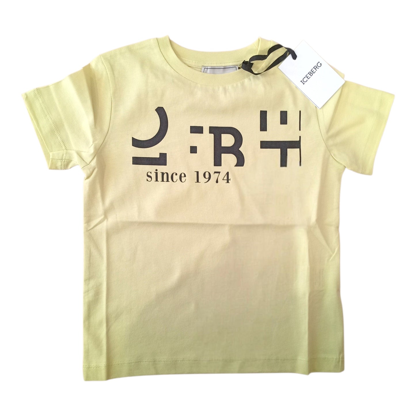 T-SHIRT ICEBERG